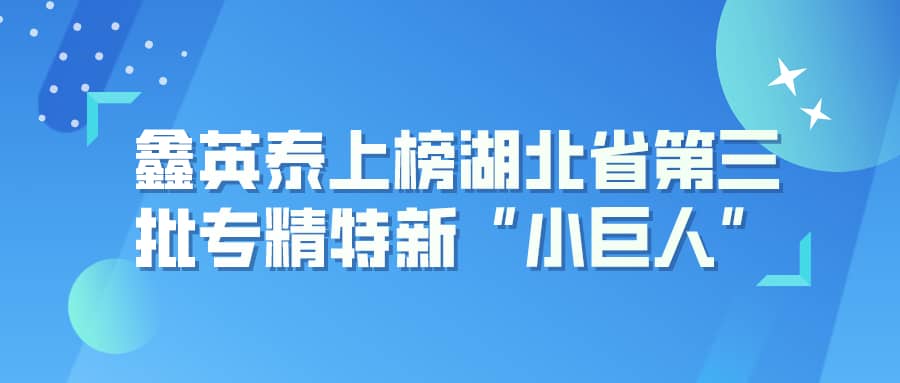 6776永利集团上榜湖北省第三批专精特新“小巨人”企业名单