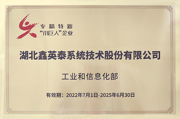 国家级专精特新小巨人企业